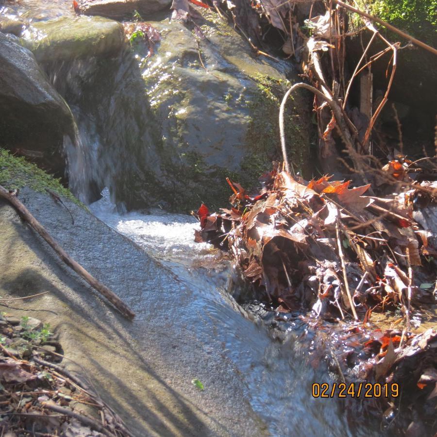 Mountain Springs Chalet Gatlinburg Esterno foto