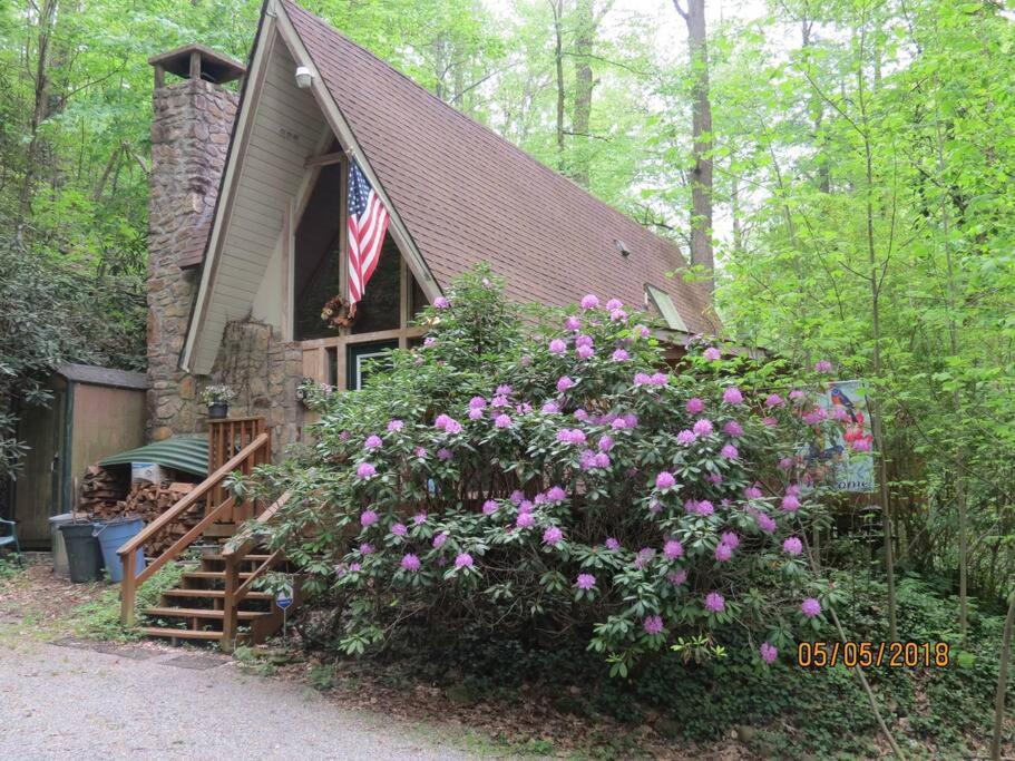 Mountain Springs Chalet Gatlinburg Esterno foto